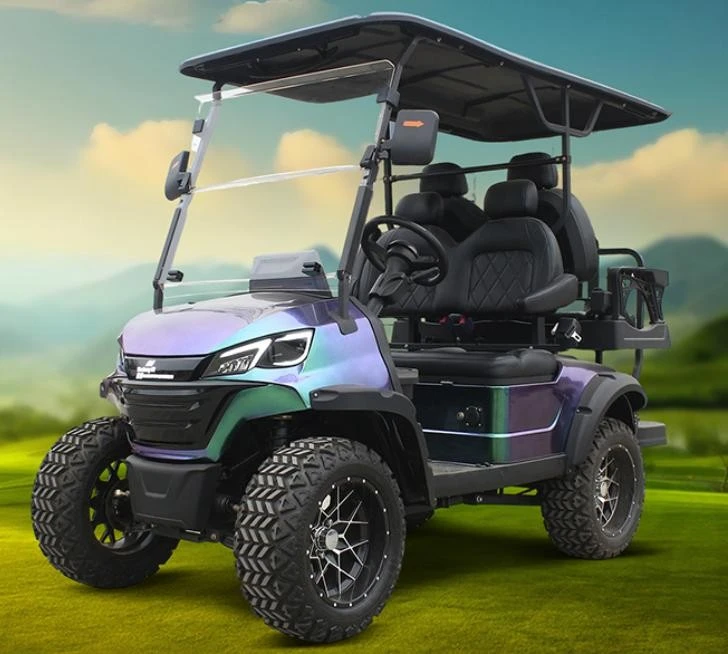 Electric Golf Cart factory